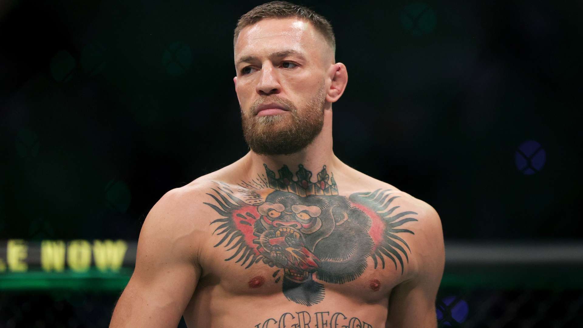 这种连续的 这种连续的