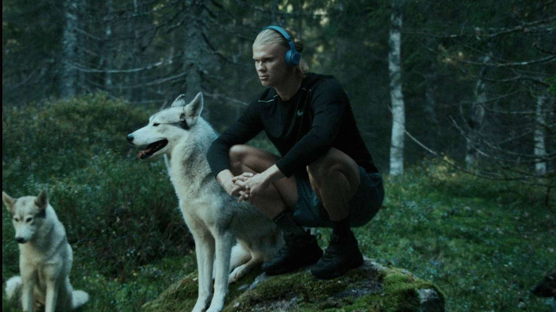 球队需要在 球队需要在